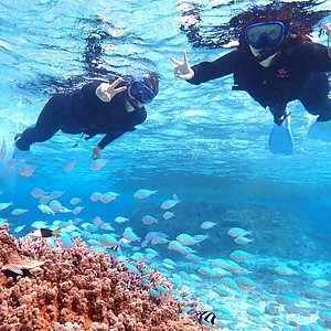 🌊 후나쿠스 해변 (이케마 블록) 이미지 7